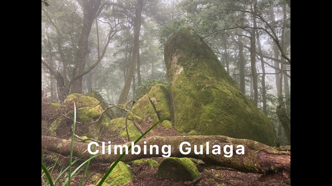 Gulaga