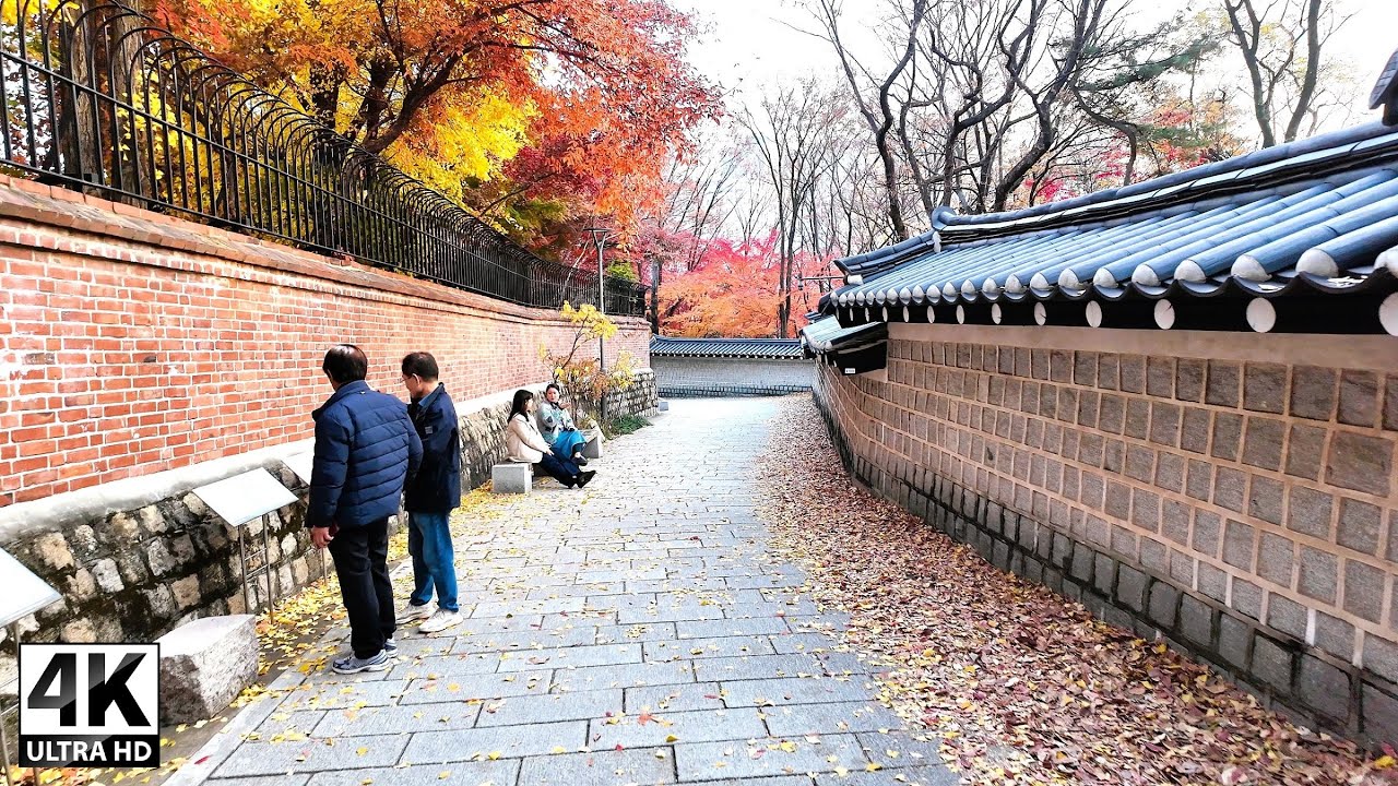 Deoksugung Stone Wall Road, Late Autumn Walking Tour of Deoksugung Palace | Seoul, Korea 4K SDR