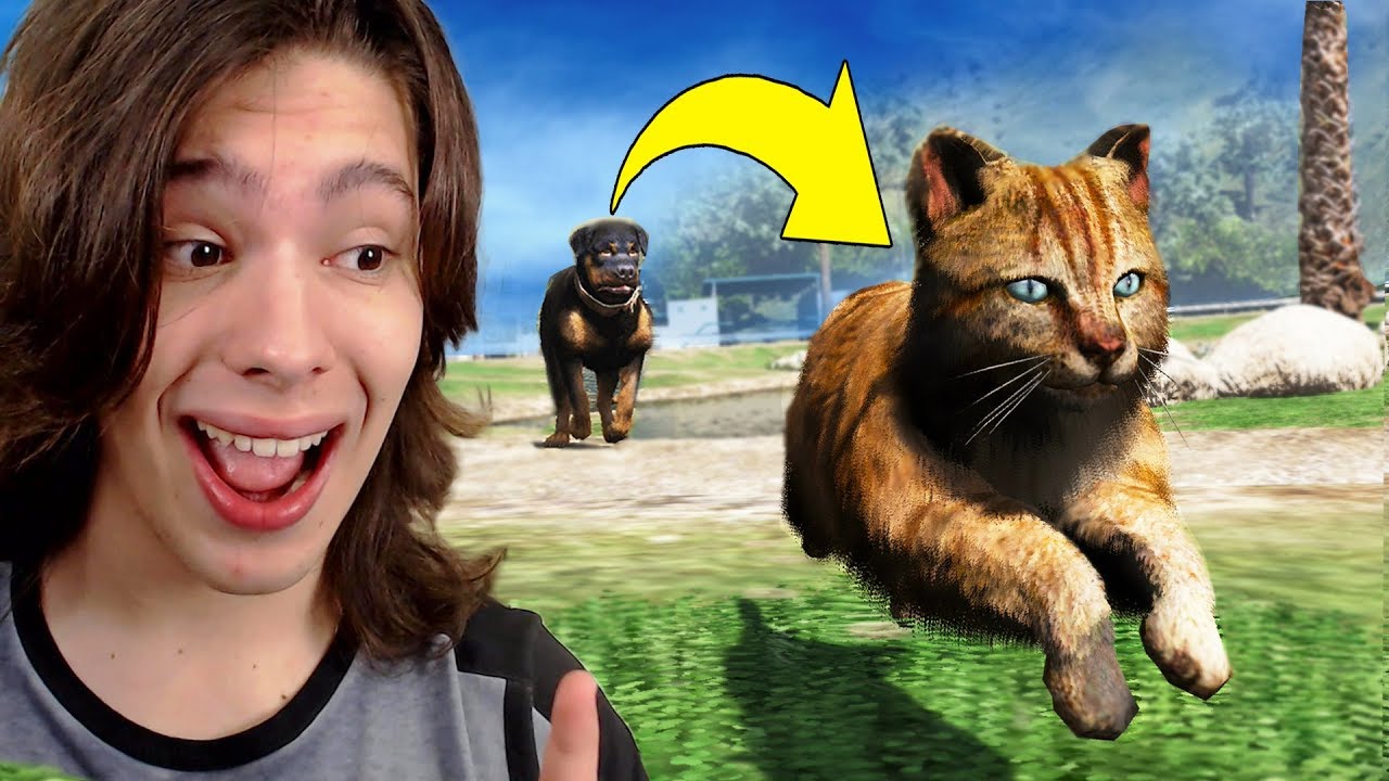 JOGANDO GTA 5 COMO UM GATO!! (Incrível)