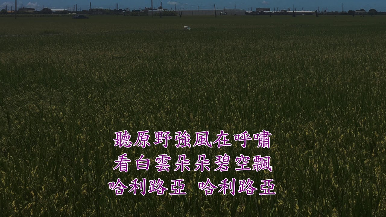 TJC讚美詩_311 一齊來歌頌