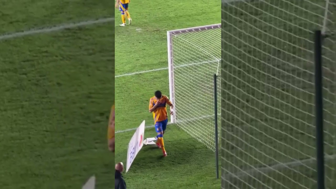 Nicol&aacute;s Ib&aacute;&ntilde;ez sale llorando y la afici&oacute;n de Tigres lo abuchea | Actualidad | AS M&eacute;xico