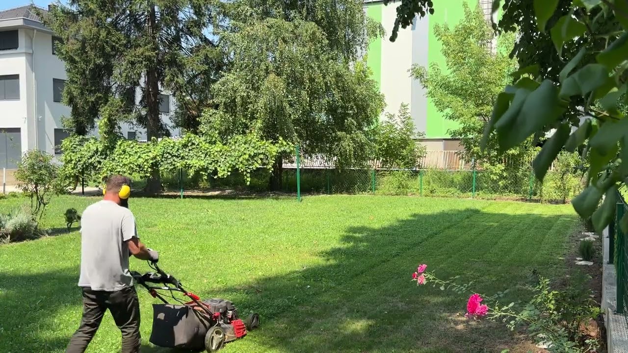 Sasvim običan ljetni dan