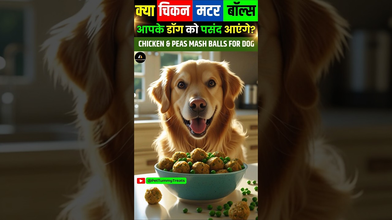 Best Homemade Treats | Chicken And Peas Mash Balls For Dog 
