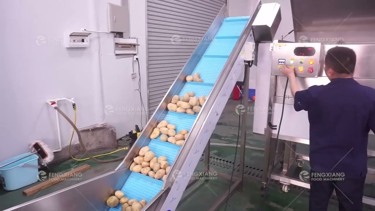 LXTP-3000 + CD800 POTATOES PEELING,WASHING AND DICING MACHINES LINE