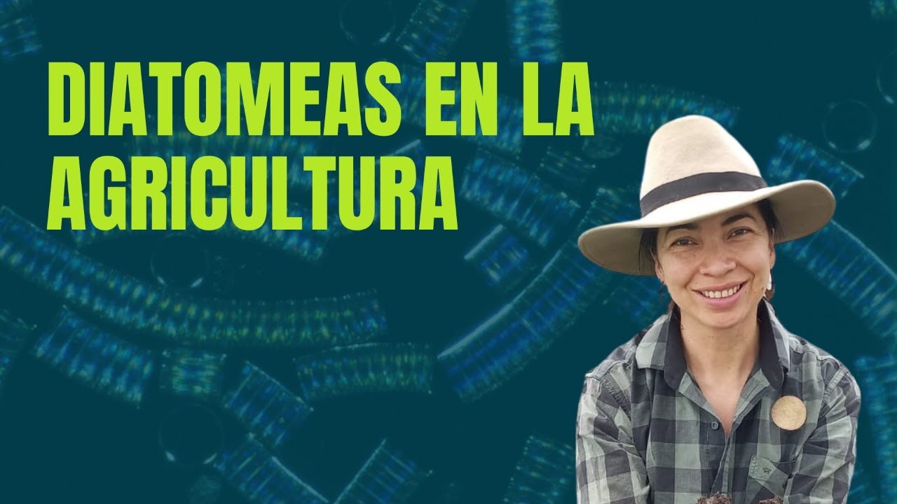 Diatomeas en la Agricultura