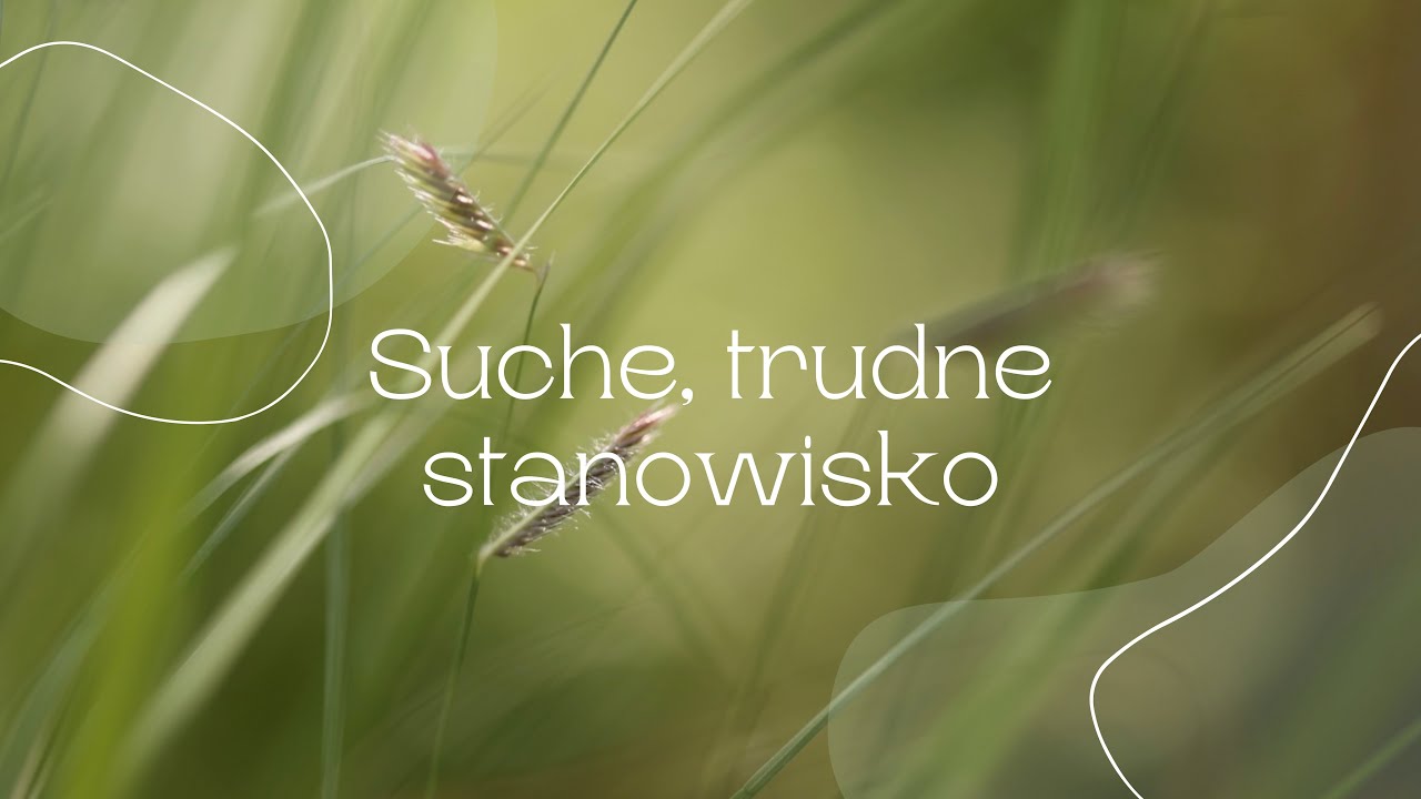 Stanowisko wygrzane, suche