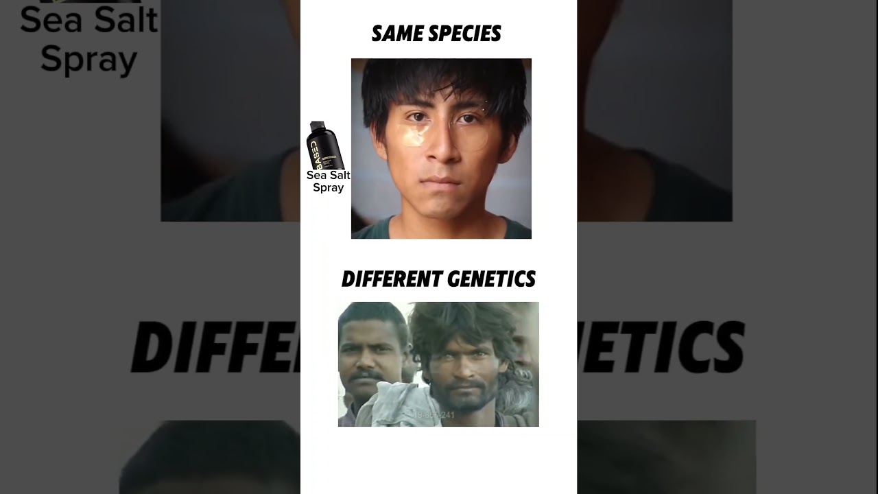 difference Between genetic 🧬.....#looksmaxxing #genetics #look #explore #shorts