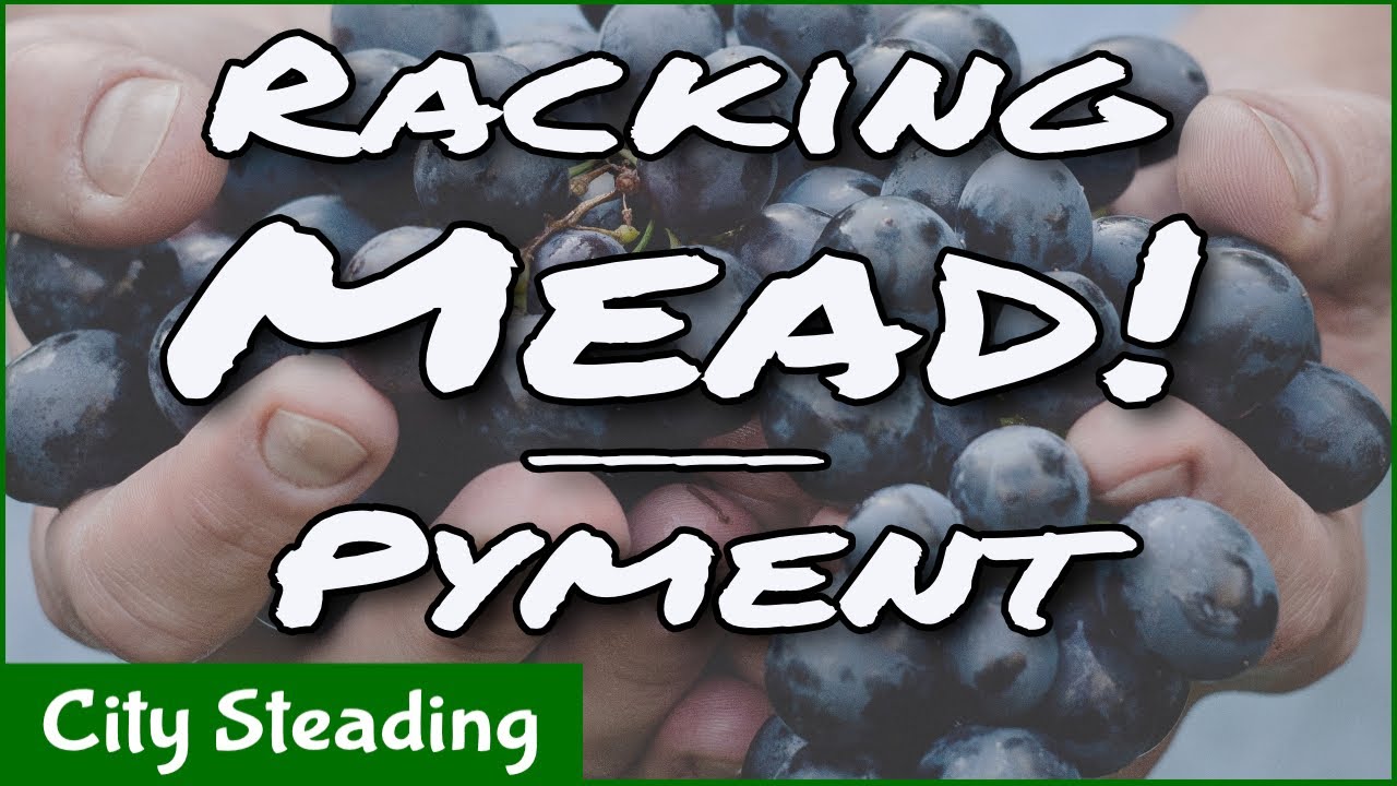 Racking Mead To Secondary - Pyment Mead Racking - Grape Mead