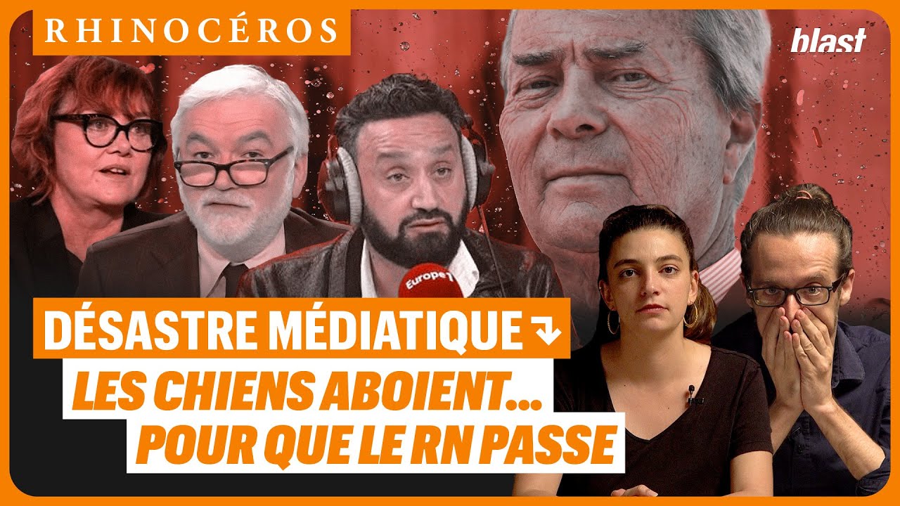 🦏 DÉSASTRE MÉDIATIQUE : LES CHIENS ABOIENT... POUR QUE LE RN PASSE