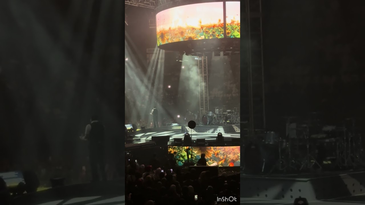 Sal Priadi dan Padi - Rapuh, Gala Bunga Matahari - Konser Padi 28