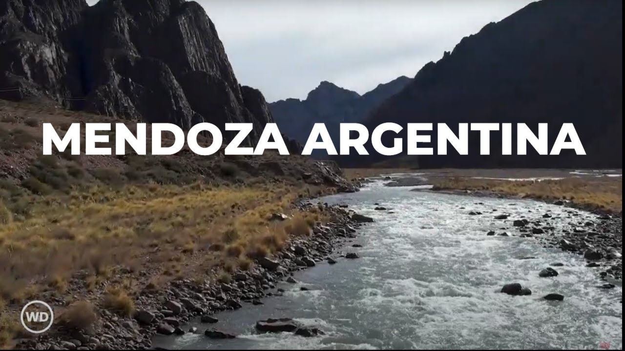 Exploring The Heart Of Argentinian Wine