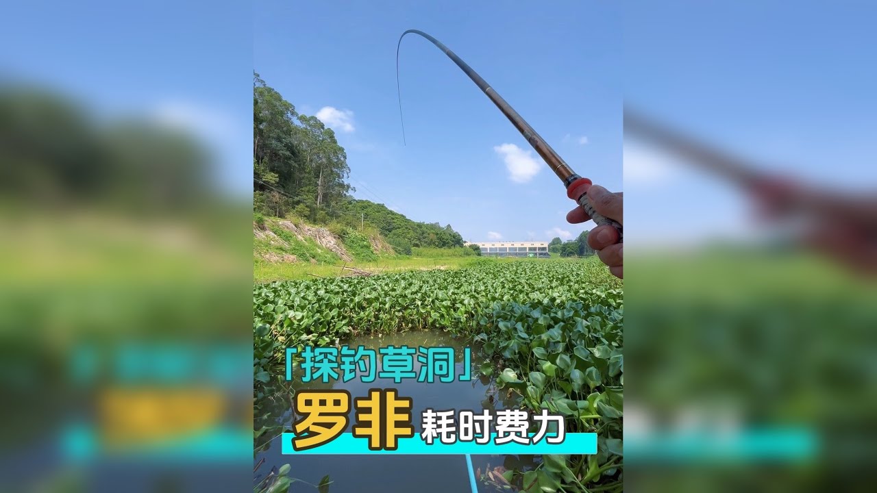 39度的天气去开发草洞钓鱼，真不是人干的事