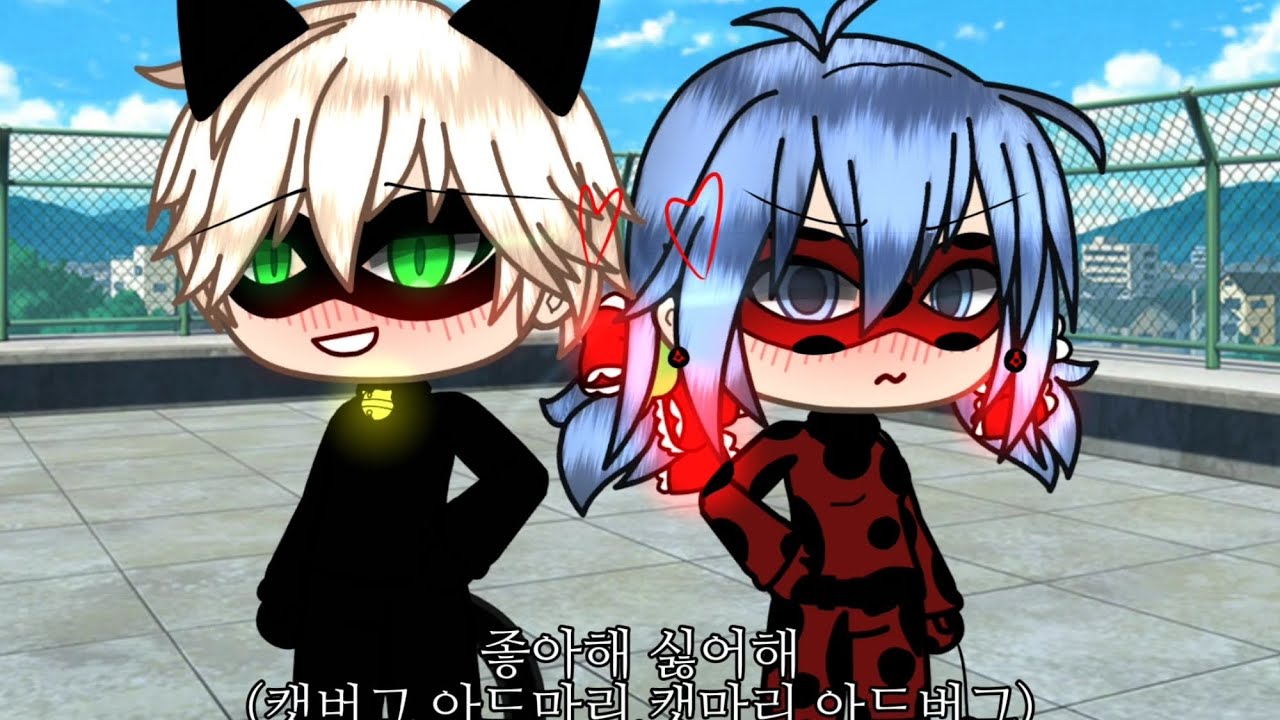 //💕좋아해 싫어해💕// 《아드마리,캣버그,캣마리,아드버그》🐈‍⬛🐞
