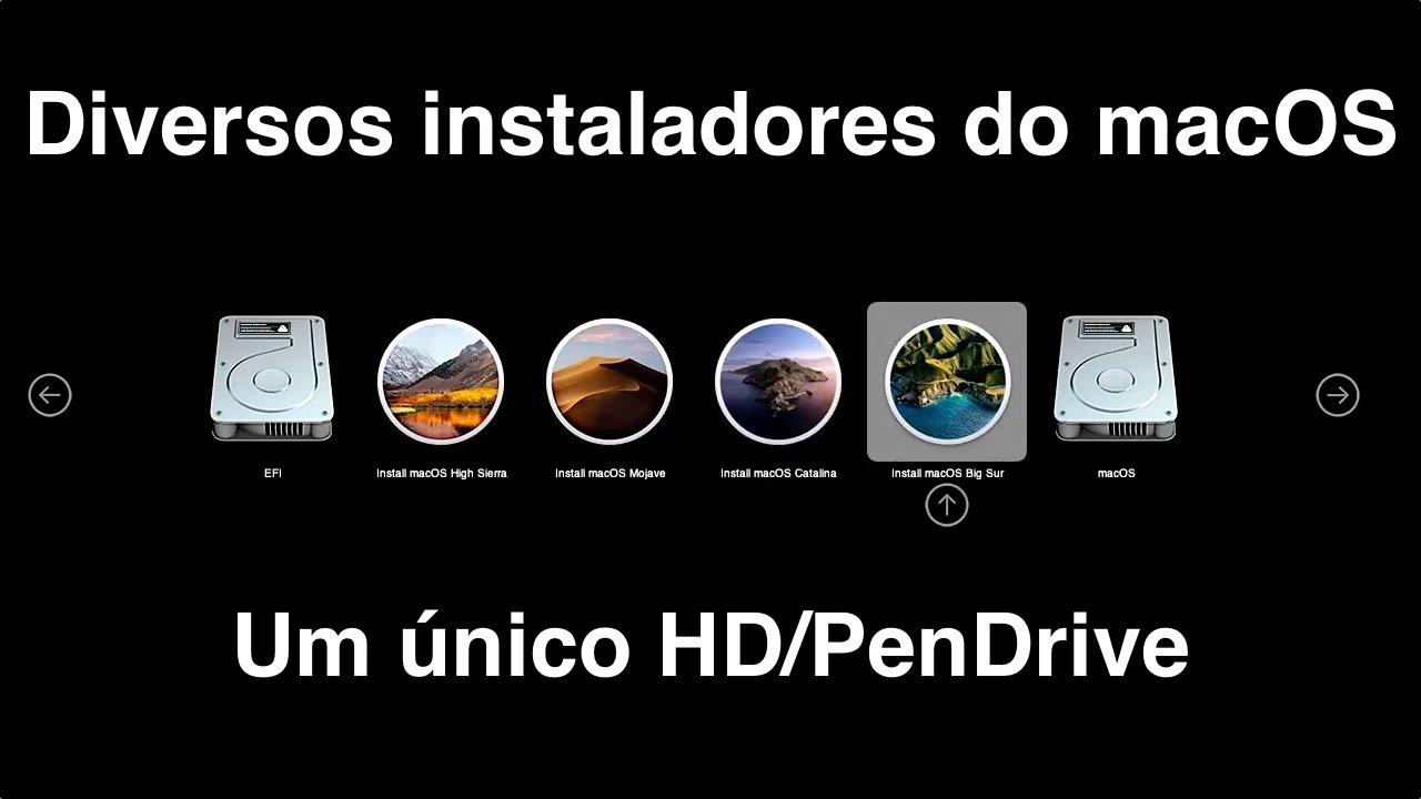 Como criar um HD externo com diversos instaladores do macOS originais - OpenCore 0.6.9 + X99 C612