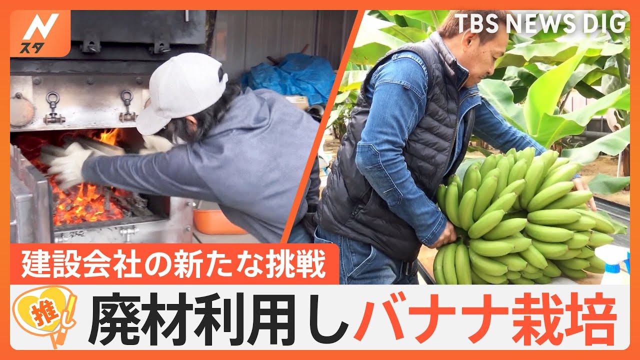 バナナ栽培にカフェ経営!? 建設会社の新たな挑戦、暖房代の約7割を廃材で…【ゲキ推しさん】｜TBS NEWS DIG