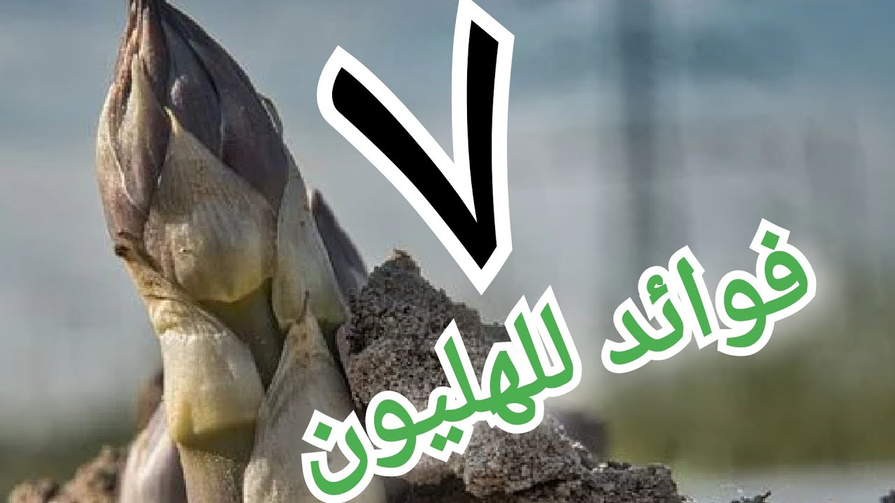 عجائب الهليون السبع