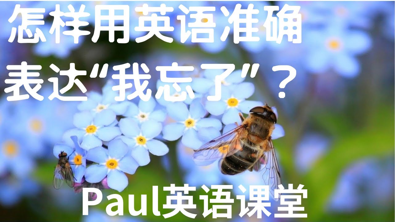 &ldquo;我忘了&rdquo;有哪些地道的常见说法？Paul介绍八个接地气的英语表达给你