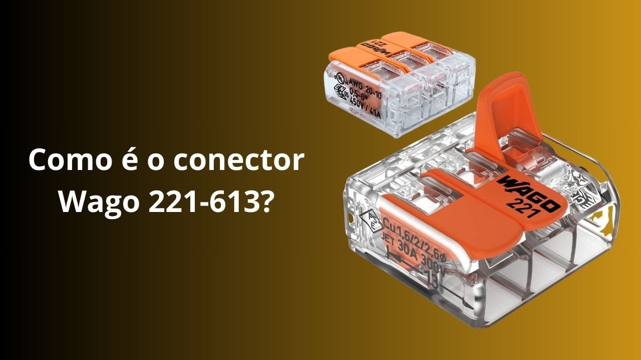 Como &eacute; o conector Wago 221-613?