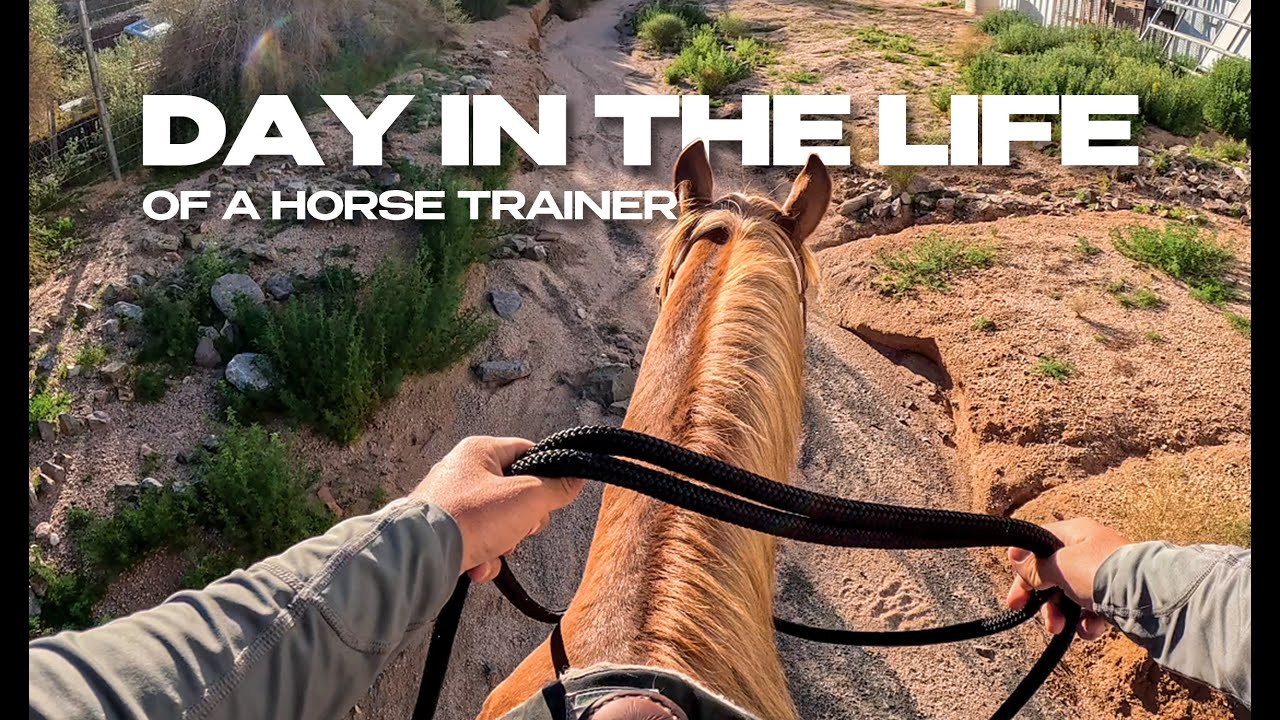 Day in my life training reining horses | Futurity, Derby & Colts