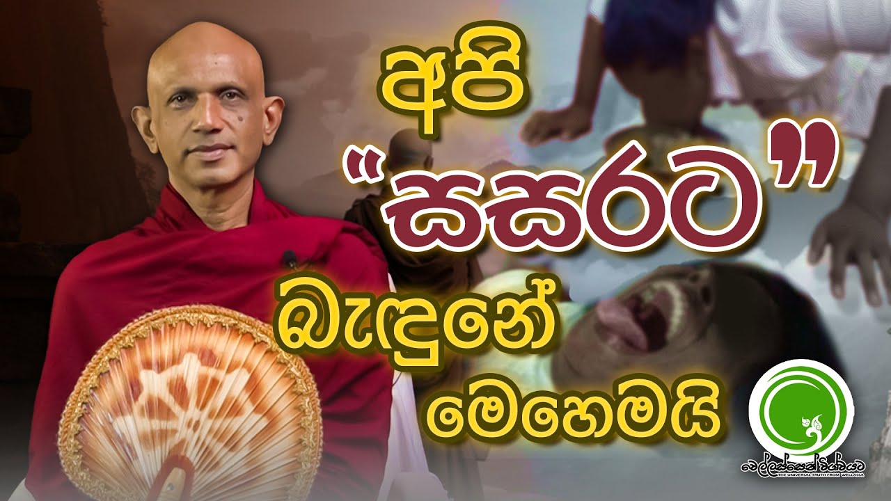 අපි සසරට බැඳුනේ මෙහෙමයි ⭕වීඩියෝ සහිතයි⭕ - පූජ්‍ය සේනාපතියේ විමලරතන හිමි | Wellassen Wishwayata