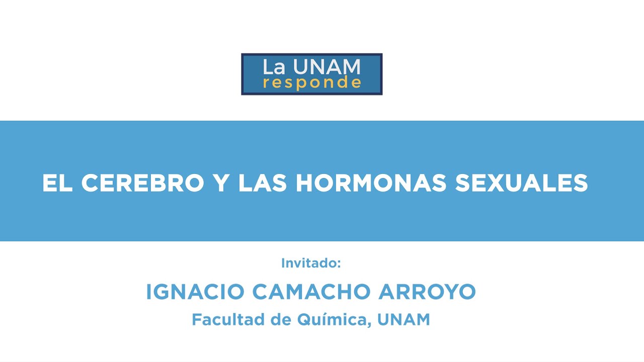 El cerebro y las hormonas sexuales. La UNAM responde 1106
