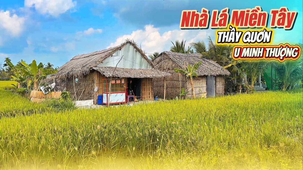Nhà Lá Giữa Đồng Lúa  - Về Lại THẦY QUƠN, Hòa Chánh, U Minh Thượng, Khung Cảnh Bình Yên Đến Lạ