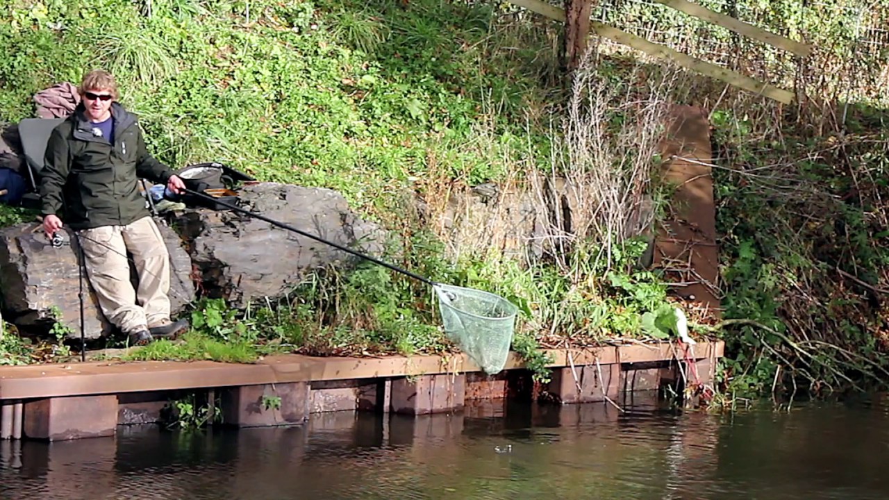 Coarse Fishing on the River Culm