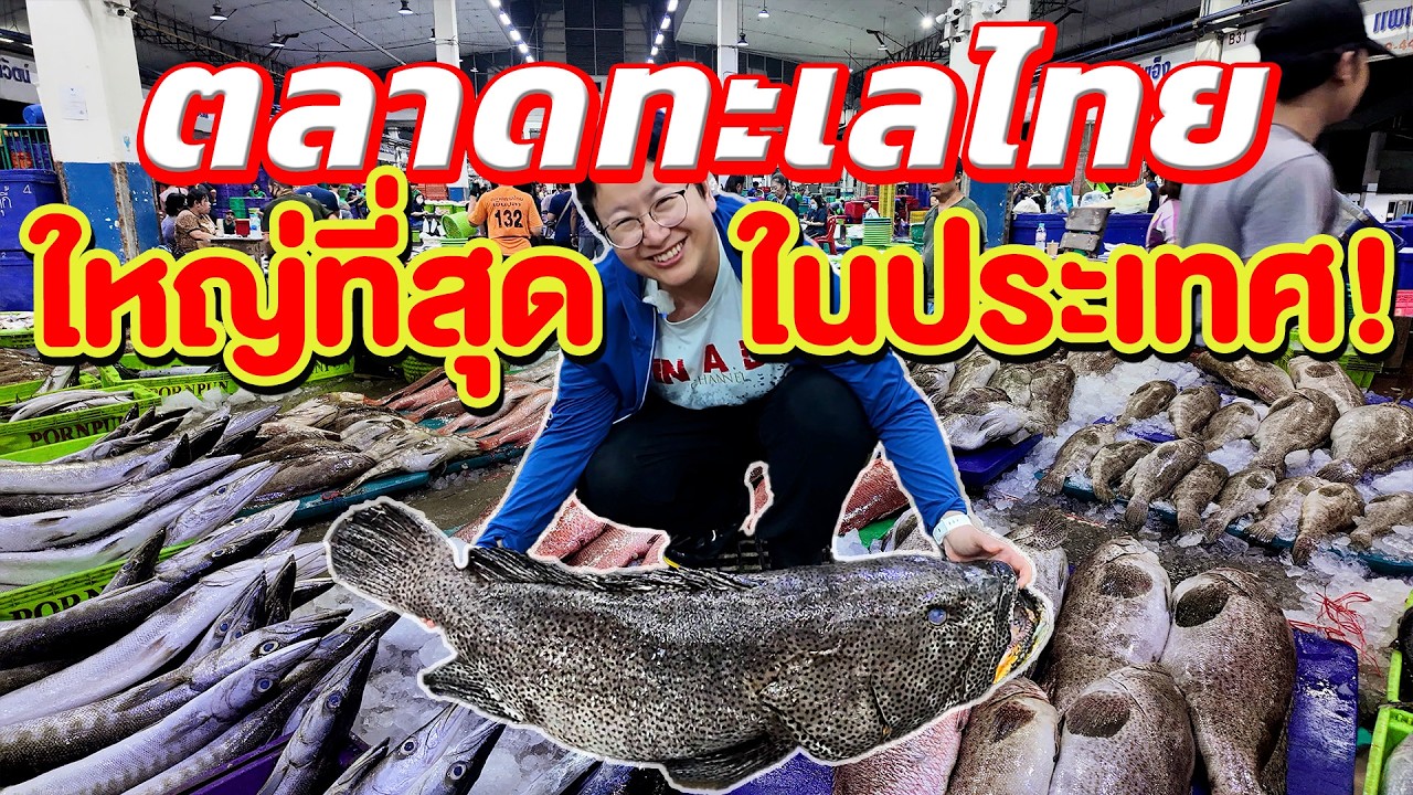 รวมอาหารทะเลมากที่สุดในประเทศ 2 ชม. หมด ขายปลีก ขายส่ง ถูกมาก ซื้อไปขายได้กำไร  @finadi