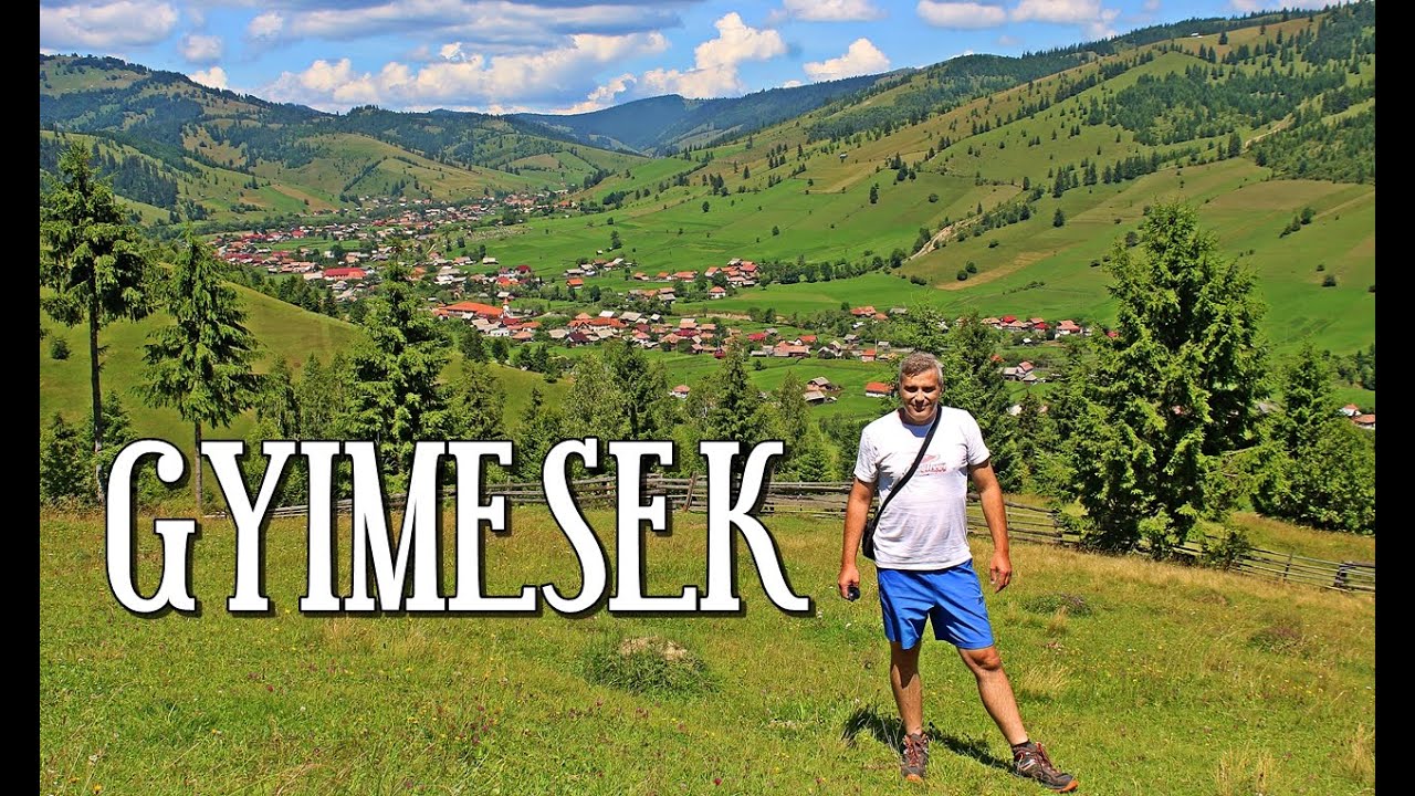 Gyimesi pillanatok - tehénfejés a Hidegségben - A Gyimesekben gyógynövényeket legelnek a tehenek