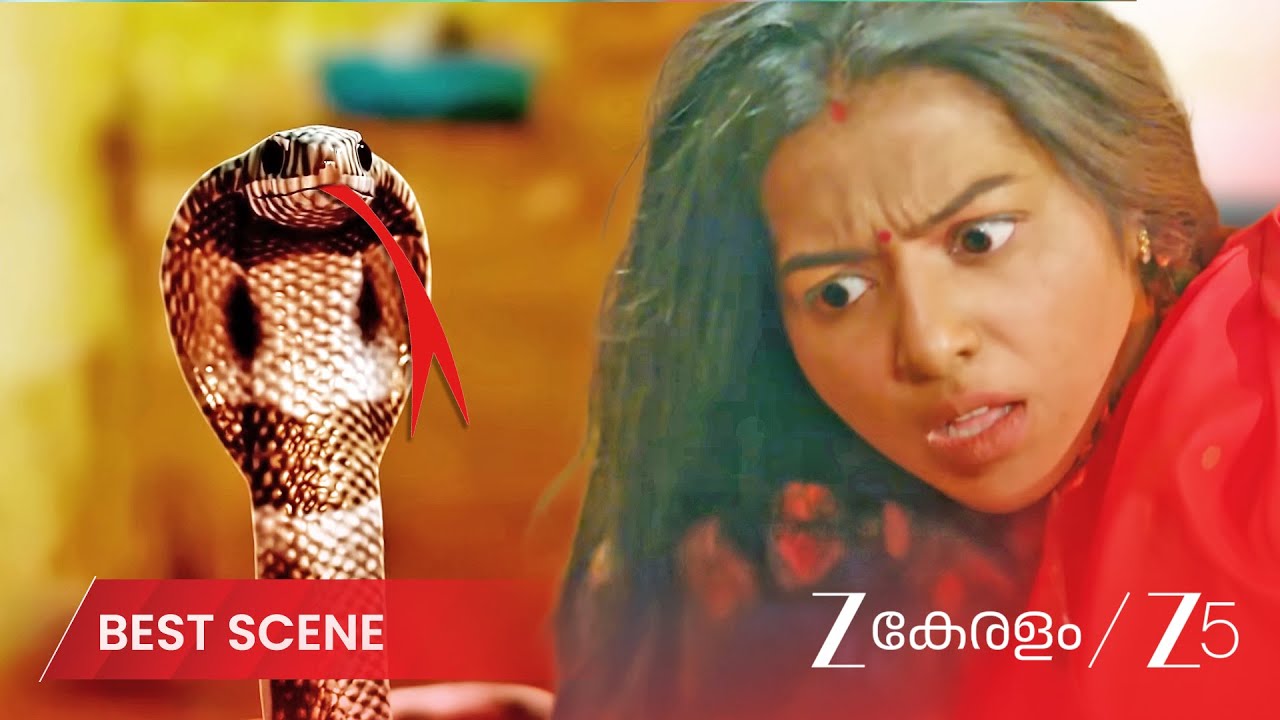 😱SHOCKING : KRISHNA BIT BY SNAKE! - KrishnaGadha | Best Scene Ep 174 Par5t 4 | @zeekeralam