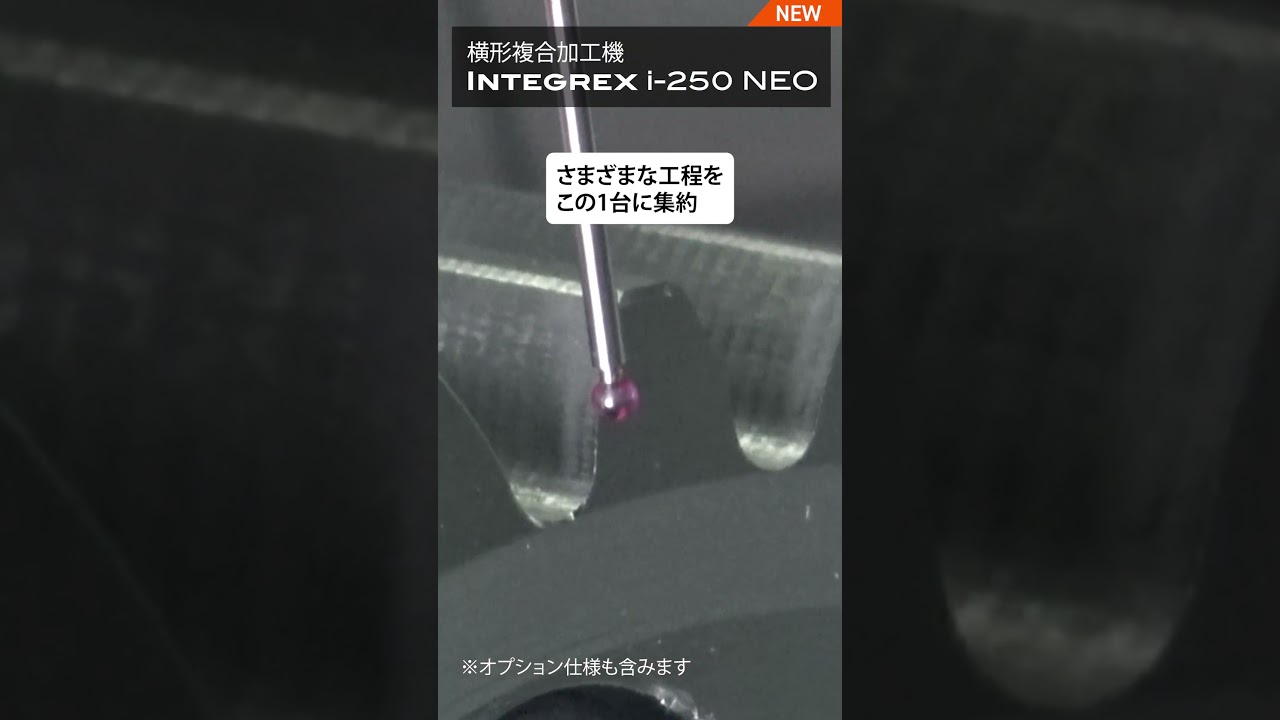 INTEGREX i-250 NEO