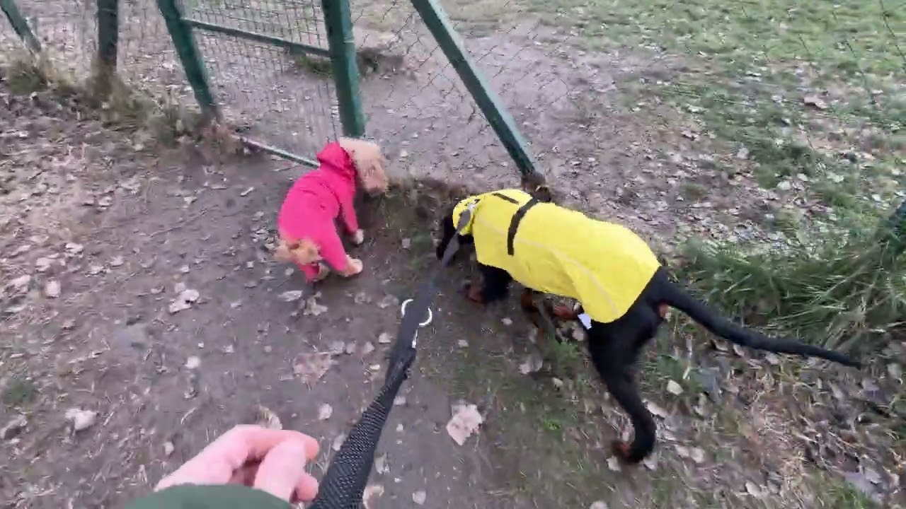 We’re mud-ready!