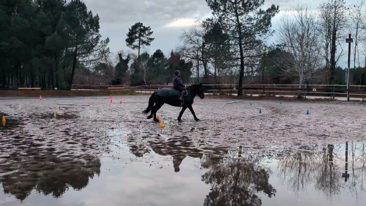 Equifeel Caval'go manche 2 montée 1