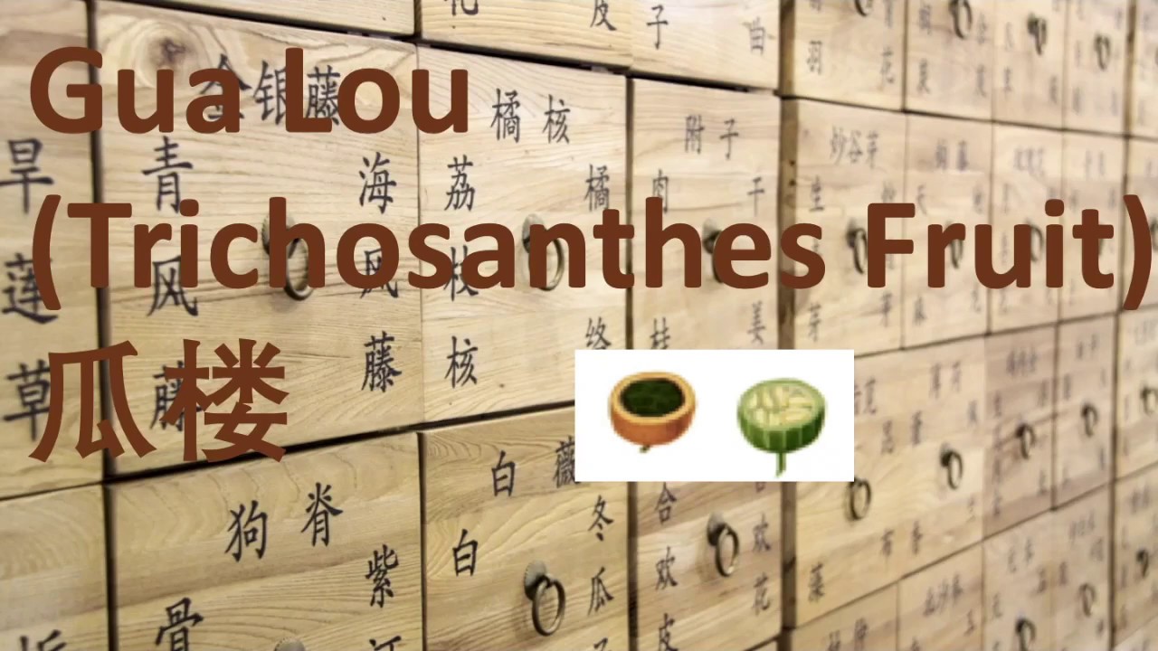 30 Chinese Herbal Medicine, Traditional Chinese Medicine - Gua Lou (Trichosanthes Fruit) 栝楼 - 中医 中药