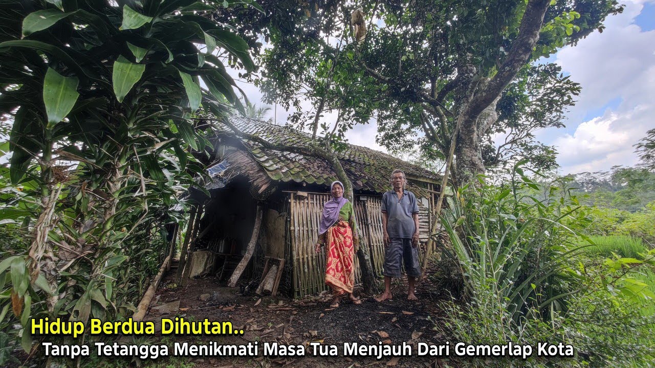 Dulu Tinggal Di Kota.. Sekarang Memilih Menikmati Masa Tua di Rumah Terpencil di Kelilingi Hutan