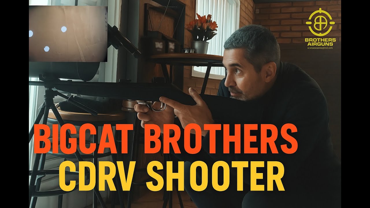 Big Cat by Brothers e CDRV by Shooter