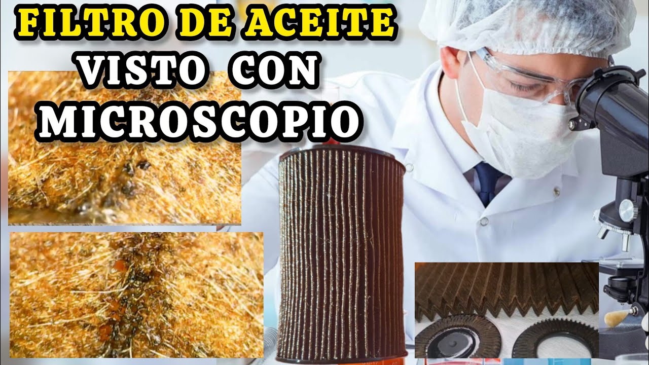 ¿Como se ve un filtro de aceite con 73.000km? 