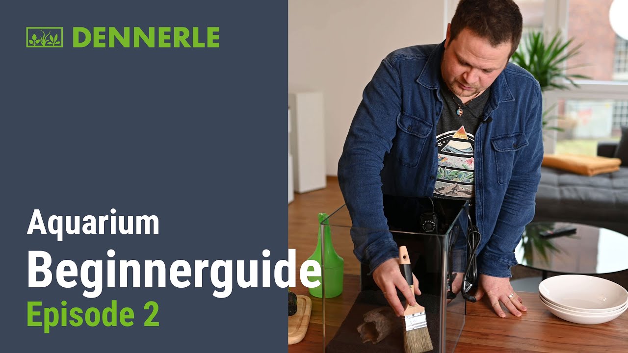 Aquarium Einsteiger Guide 🐟 Ep. 02: Endlich, der NANO CUBE wird EINGERICHTET!