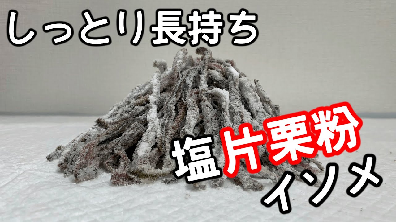 【塩イソメ】塩イソメと片栗粉は相性が良い