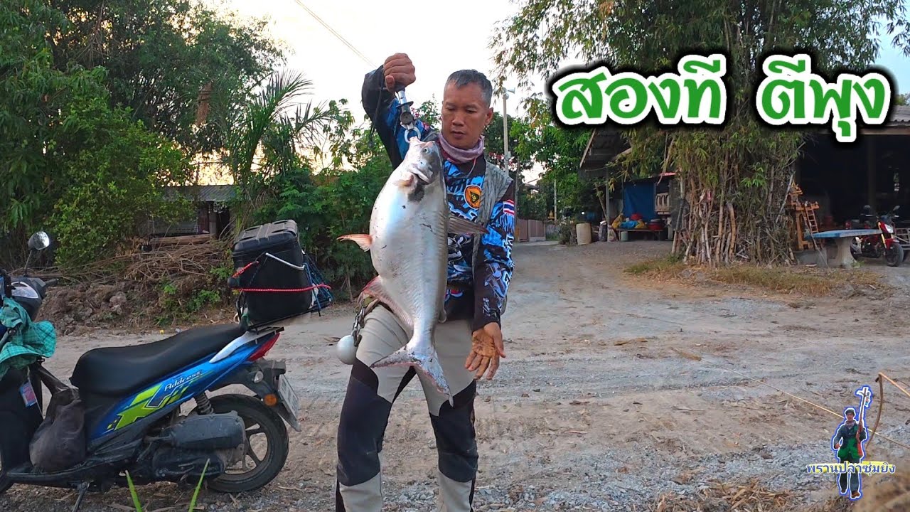 หมานสุดลิ่ม