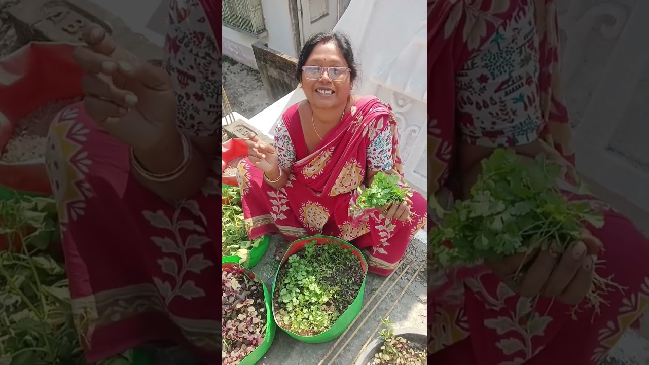 প্রথম দিন চশমা পরে অসুবিধা হচ্ছে,সবাই বকছে তাই, কেমন লাগছে জানাবে #শুভদূপুর #ধনেপাতা #রান্নাবান্না 