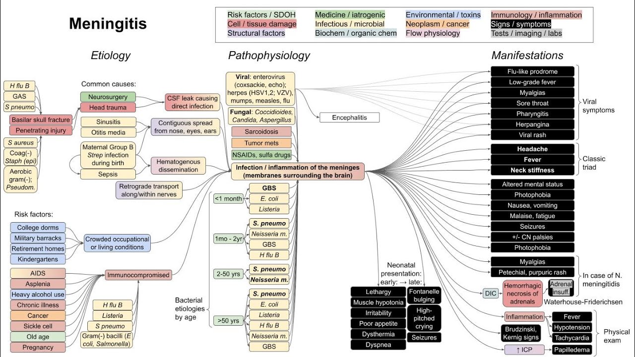 Meningitis (mechanism of disease)