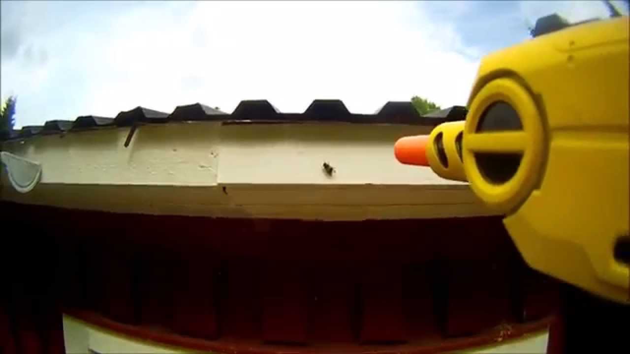 Fly hunting with the Bug-a-salt