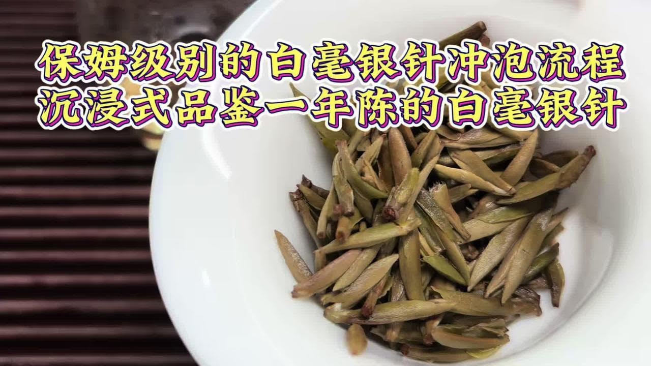 保姆级别的白毫银针冲泡流程，沉浸式品鉴一年陈的白毫银针！