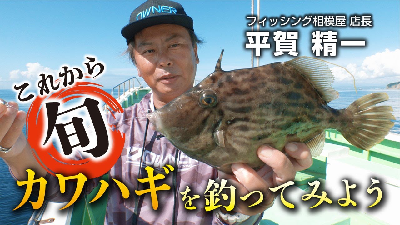 これから旬！カワハギを釣ってみよう