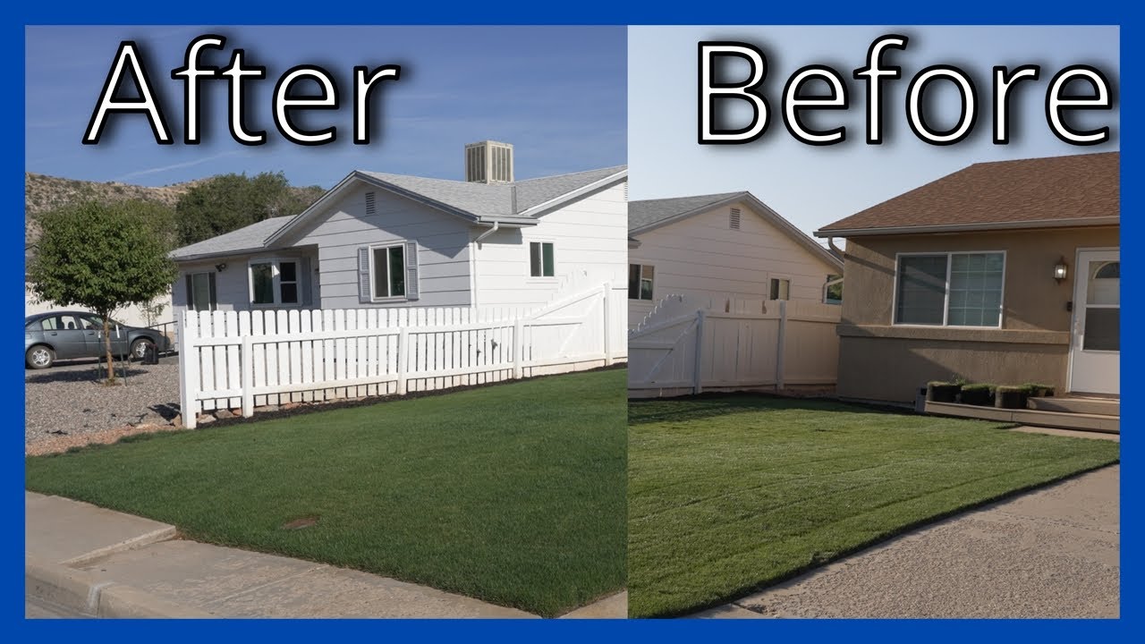 How to Over Seed your Lawn and get Double Dark Grass!