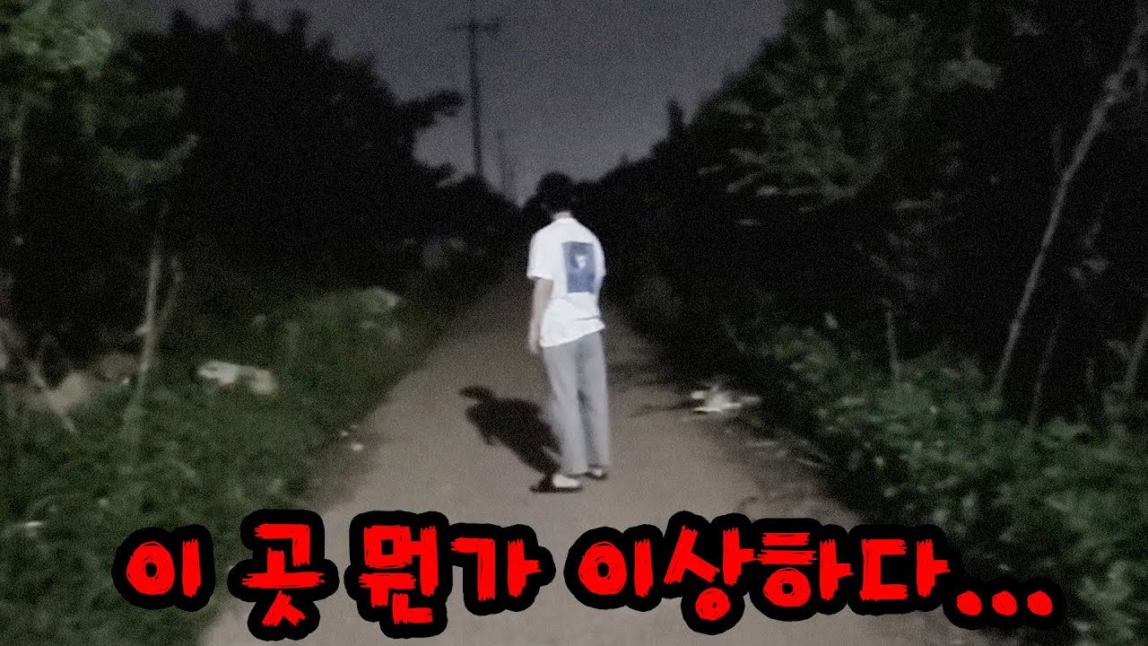 란더노티카 정말 무서운 어플 맞는듯...