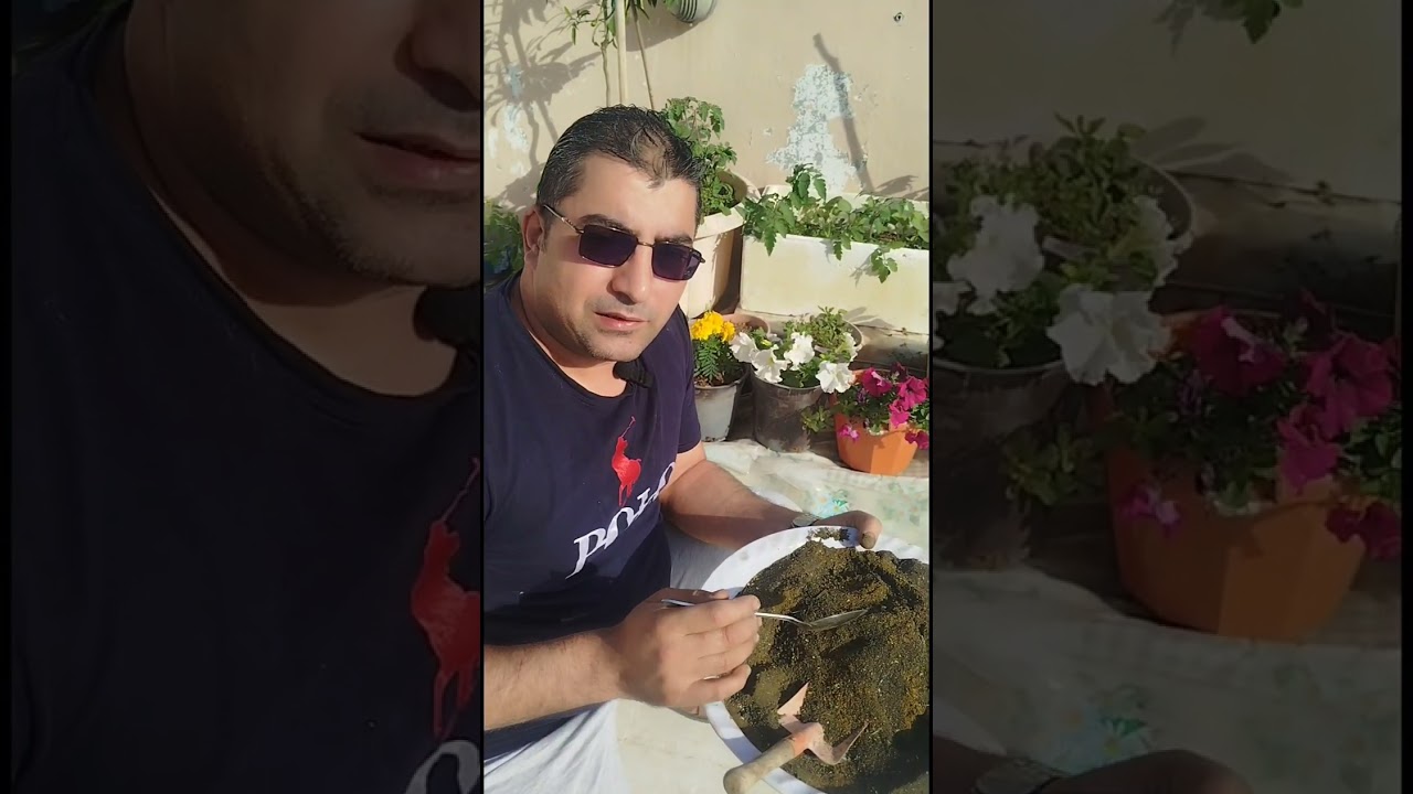 افضل سماد ومضاد فطري طبيعي للنباتات المنزلية من مخلفات المنزل 