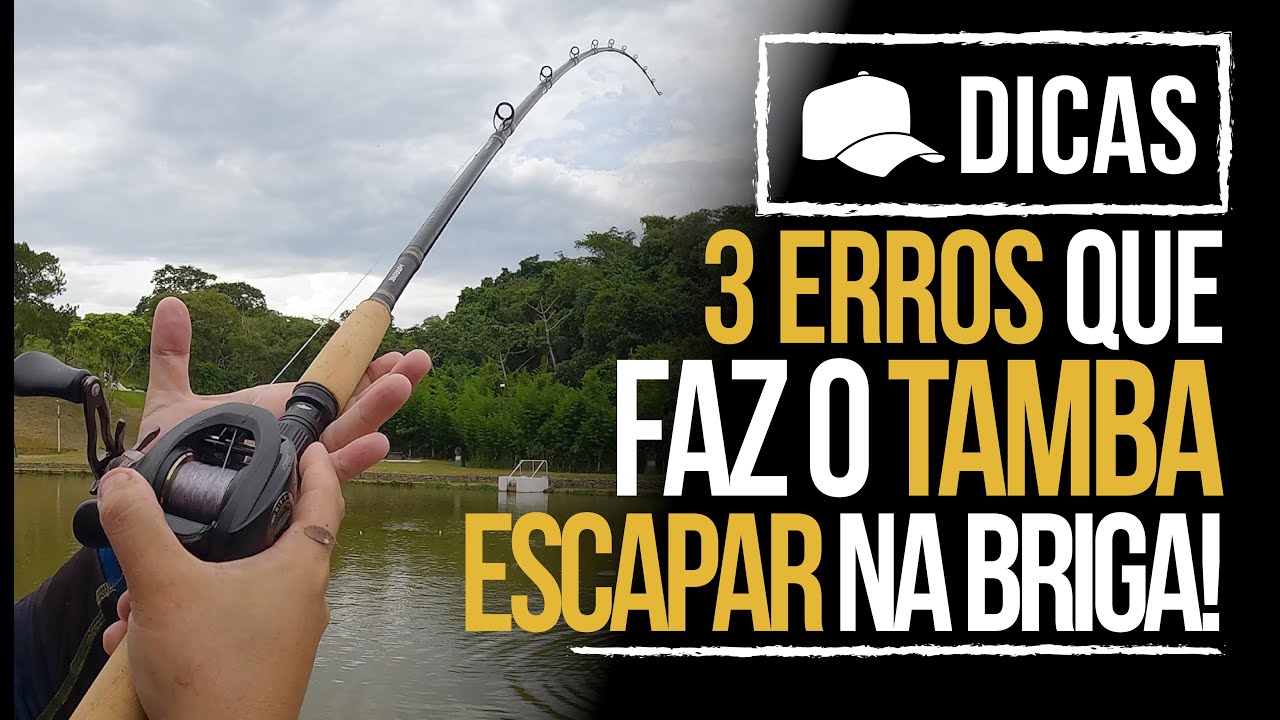 3 ERROS QUE FAZ O TAMBA ESCAPAR NA BRIGA! (DICA)