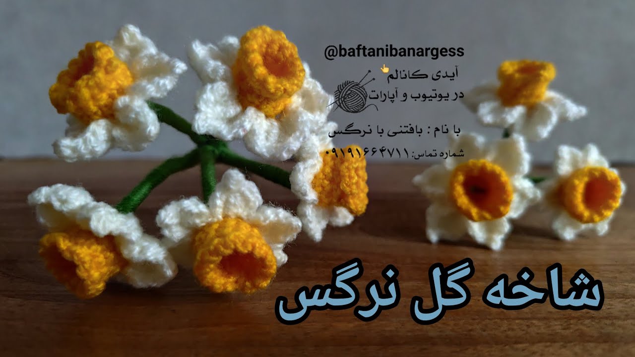 بافت گل نرگس 